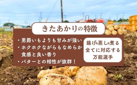 じゃがいも きたあかり 5kg | じゃがいも じゃがいも じゃがいも じゃがいも じゃがいも
