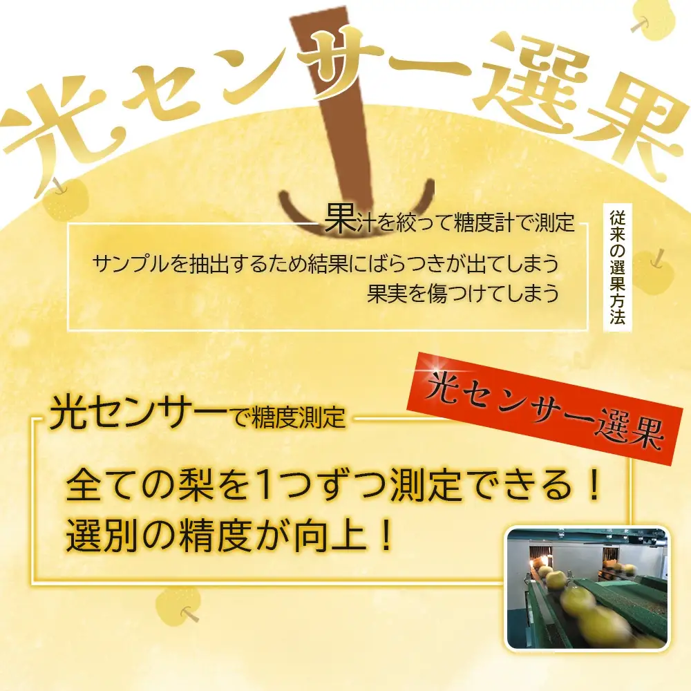 【先行予約】最高級 蔵王の梨 豊水 約5kg　特秀・大玉　【04301-0716】梨 なし 果物 くだもの スイーツ フルーツ デザート 甘い ジューシー 蔵王