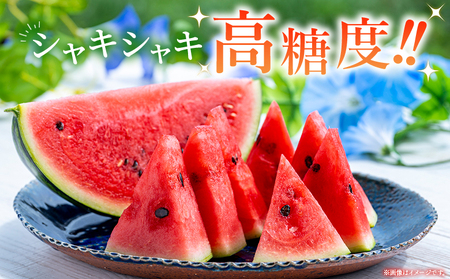 【先行予約】＜愛媛県西予市産 中玉西瓜 2玉＞ 果物 くだもの 果肉 フルーツ 西瓜 すいか スイカ 中玉 中玉すいか 中玉スイカ M～L 5～7kg 高糖度 甘い 季節物 食べて応援 国産 特産品 宇都宮物産 愛媛県 西予市【常温】『2026年7月上旬～8月上旬迄に順次出荷予定』UUB0071