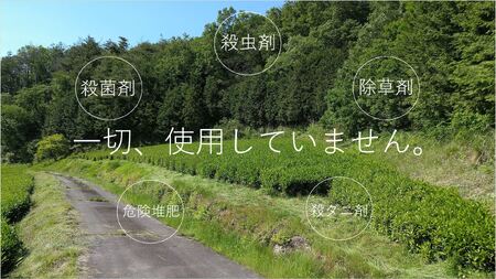 煎茶（ティーバッグ10包入） 7袋 土岐茶園  12-069