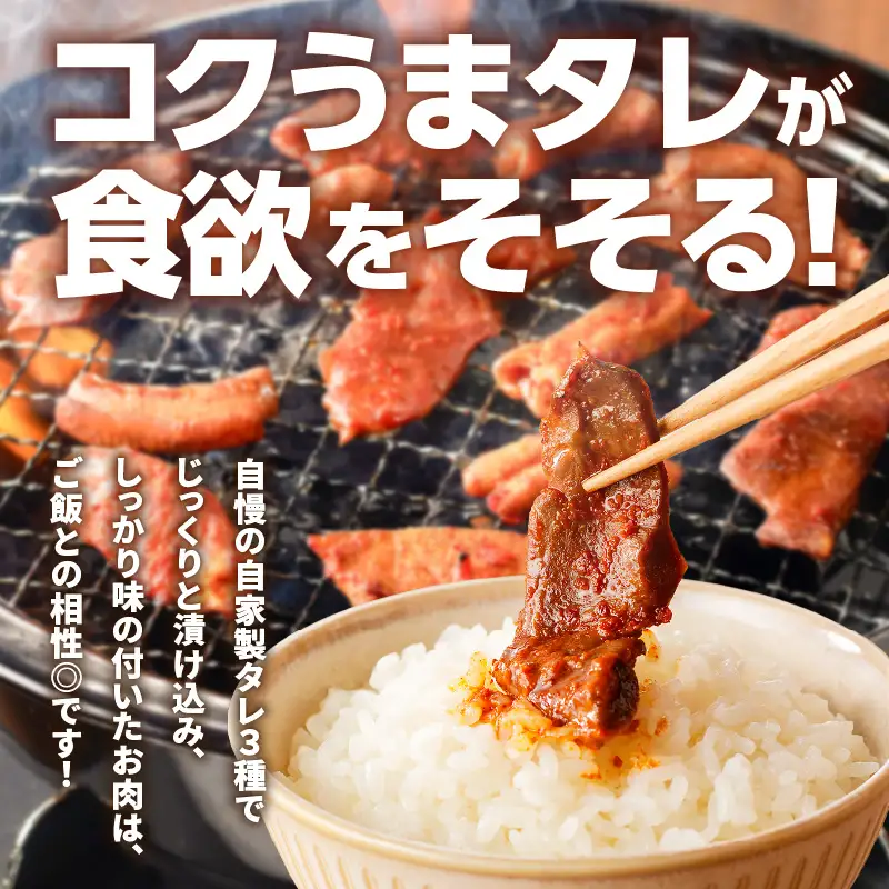 GO - ICHI MEAT 特製 ！ 味付肉 4点 詰め合わせ K151-007 肉 豚肉 鶏肉 冷凍