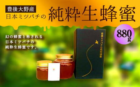 025-766x1 【TV番組で紹介されました】 日本ミツバチ の 純粋 生蜂蜜 880g ハチミツ はちみつ 国産 生はちみつ 【2025年11月下旬より順次発送予定】