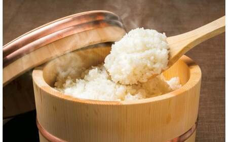 【 令和7年産米 】山香ゆうきの会の米 5kg（精米：なつほのか） 5kg 米 ＜002-010＞