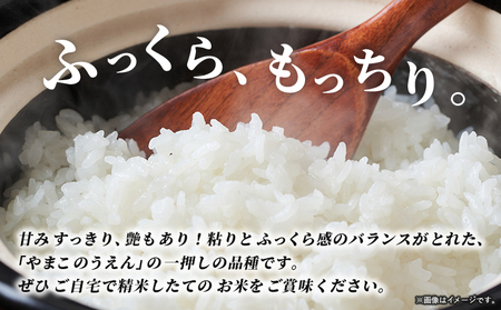＜令和7年産 ちほみのり 玄米 25kg＞げんまい 米 こめ コメ ご飯 穀物 25キロ 産地直送 愛媛県産 西予市産 特産品 やまこのうえん 愛媛県 西予市【常温】『2025年9月上旬より順次出荷予定』UYN0003