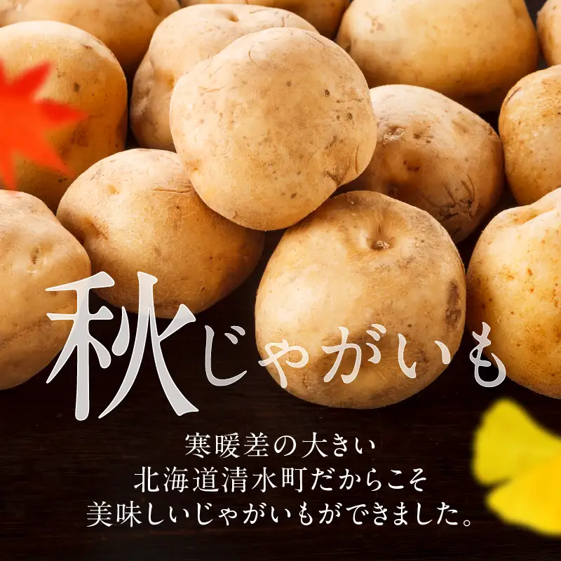 じゃがいも 男爵 5kg じゃがいも 北海道産 _S041-0005-2026