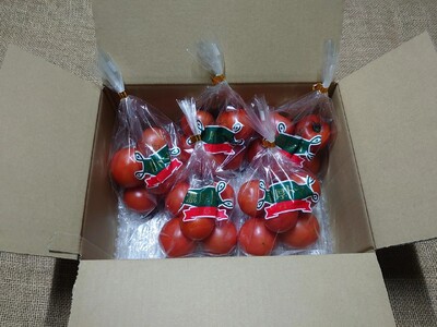 【先行予約】ゲミューゼ濃厚トマトと爽快トマトの食べ比べセット（数量限定） gmz01_R9