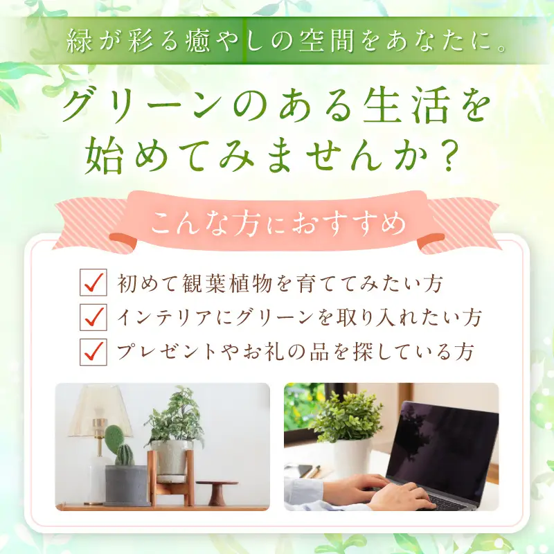 季節の植物 2号鉢 5点セット【発送可能時期：4月上旬～7月末、9月上旬～11月末】観葉植物