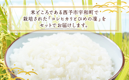＜令和7年産 西予市宇和町産 特別栽培米コシヒカリ・ひめの凜 食べ比べセット（各約2kg）＞ お米 コメ こめ 白米 精米 単一原料米 穀物 こしひかり ひめのりん 朝食 低農薬 特産品 三好フク 愛媛県【常温】『2025年11月中旬より順次出荷予定』UMH0009
