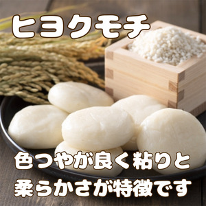 CIC54_佐賀県産もち米『ヒヨクモチ』６㎏（３㎏×２袋）