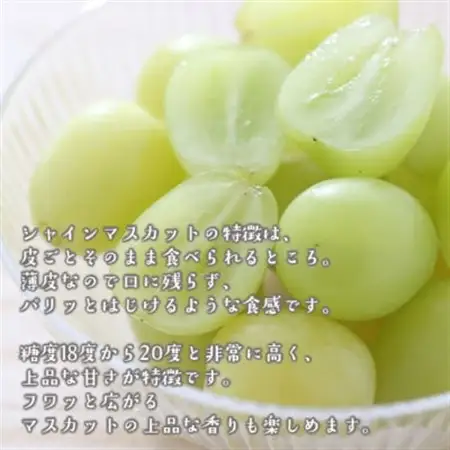 朝採りシャインマスカット＆ニューピオーネ　計1kg【配送不可地域：離島・北海道・沖縄県】【1632463】