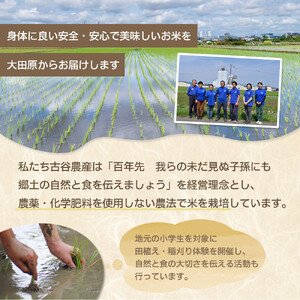 【令和7年産米 数量限定】古谷農産の無農薬・無化学肥料で栽培したコシヒカリ（玄米10キロ） ｜米 コメ  10kgコシヒカリ こしひかり 農家直送 産地直送 産直