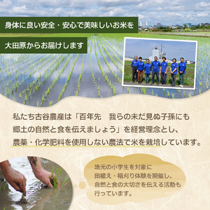 【令和7年産米 数量限定】古谷農産の無農薬・無化学肥料で栽培したコシヒカリ（精米10キロ） ｜米 コメ  白米 10kg コシヒカリ こしひかり 農家直送 産地直送 産直