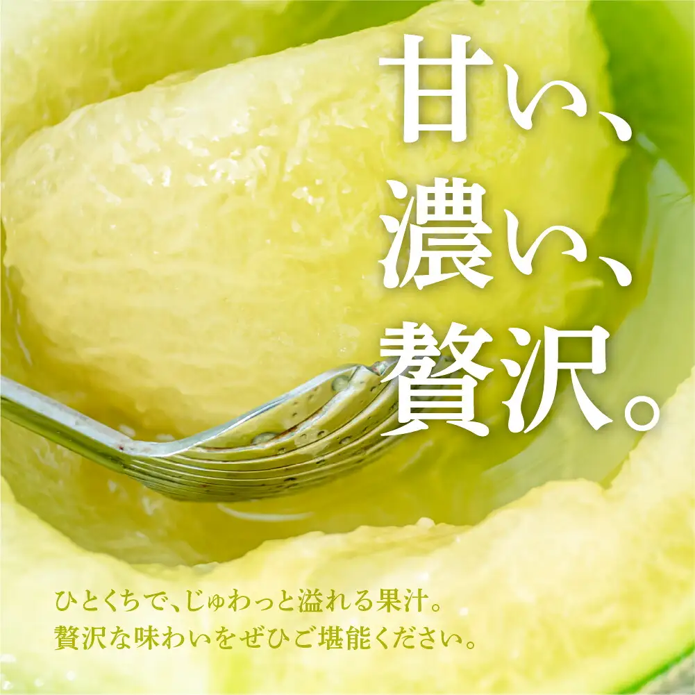 温室マスクメロン 2玉 贈答 豊橋 メロン