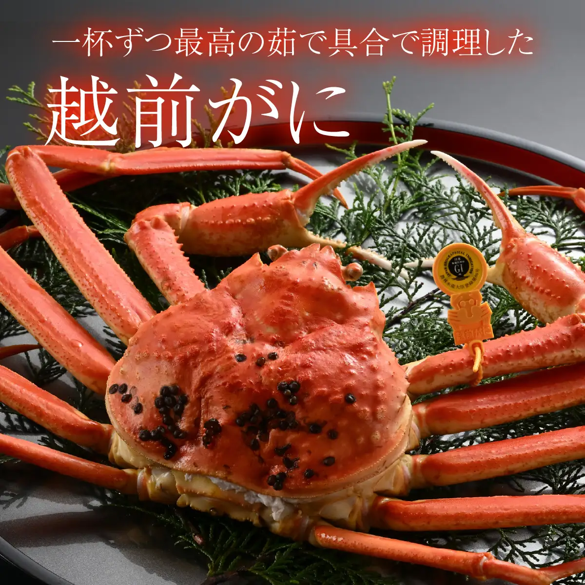【先行予約】[捌き済選択可][到着日指定可]蟹好きにおすすめ！老舗カニ専門店の「越前ずわいがに」特大(1.1kg～1.3Kg)【11月中旬より順次発送】 [O-085019] / ｽﾞﾜｲｶﾞﾆ ｽﾞﾜｲｶﾞﾆ ｽﾞﾜｲｶﾞﾆ