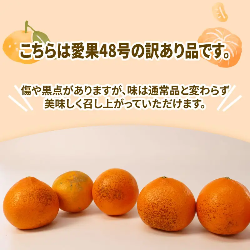 訳あり 愛果48号 ( 紅プリンセス と同品種) 5kg マル南フルーツ 紅プリンセス B015-106053