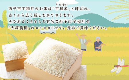 新米＜令和8年産 コシヒカリ 5kg＞国産 愛媛県産 宇和町産 宇和米 こしひかり お米 米 コメ こめ 白米 精米 ご飯 新鮮 5キロ 特産品 大塚農園 愛媛県 西予市【常温】『2026年10月・11月頃から順次発送予定』UOT0002