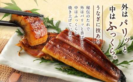 九州産 うなぎ 蒲焼 上 2尾 (1尾あたり160～189g)【順次発送】