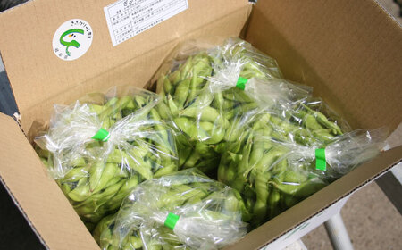 【毎年6月?8月の発送】 岐阜市特産 枝豆2kg 1袋500g×４袋 ビールやお酒のおつまみに 【配送不可地域：北海道・沖縄・離島】 料理 新鮮 採れたて 大粒 夏 あて 岐阜市 / 栗本農園