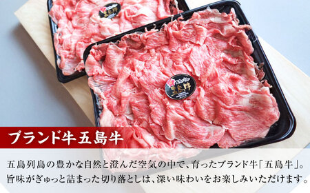 【3回定期便】五島牛 切り落とし 500g（250g×2p） 五島市/五島牛 肉のむらおか[PGP006]