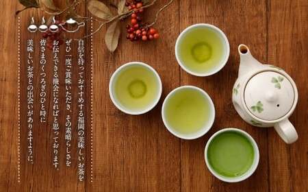 福岡 八女茶 お手軽ティーバッグと抹茶オーレのセット
