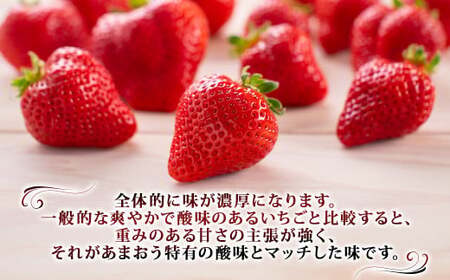 【訳あり】完熟あまおう 4パック 約275g×4パック 合計約1.1kg 【2027年2月上旬～3月上旬までに出荷予定】いちご 苺 イチゴ ベリー 果物 フルーツ お取り寄せ デザート おやつ