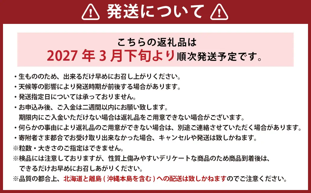 【訳あり】完熟あまおう 4パック 合計約1.1kg 【2027年1月上旬～3月上旬までに出荷予定】いちご 苺 イチゴ 果物 フルーツ