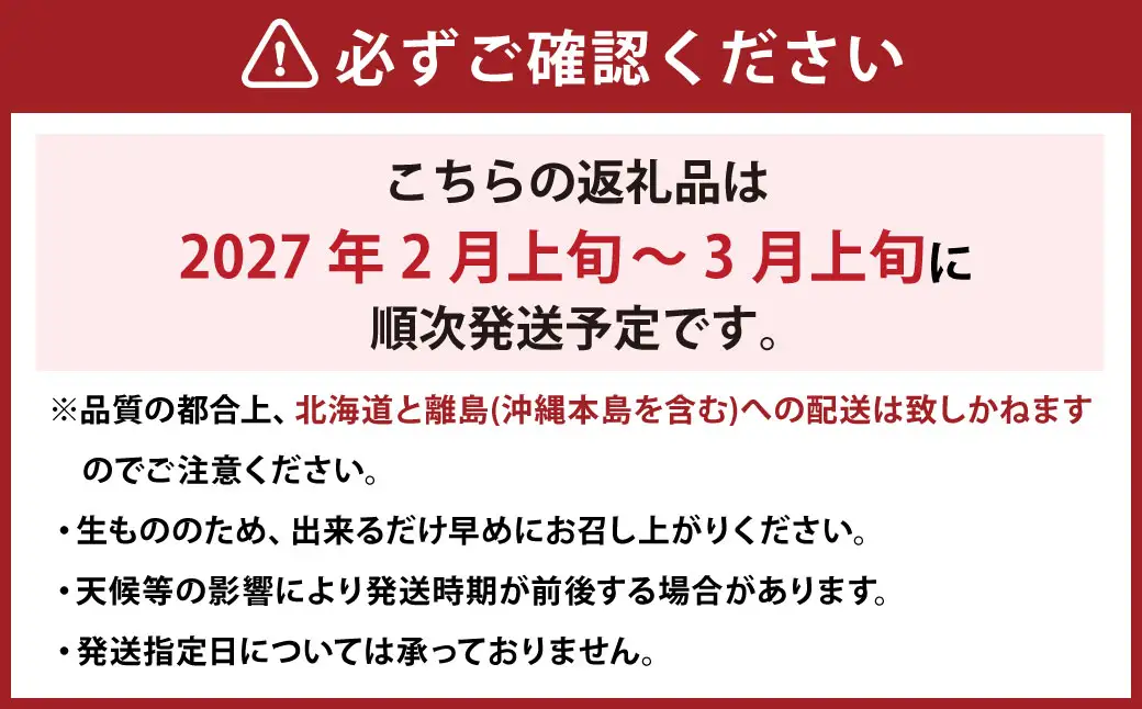 【訳あり】 完熟あまおう 2パック 約275g×2パック 合計約550g 【2027年2月上旬～3月上旬までに出荷予定】いちご 苺 訳あり 家庭用 果物 フルーツ