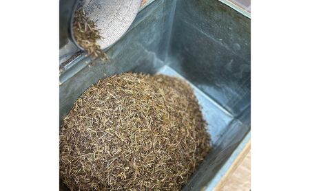 ほうじ茶 当店焙煎ほうじ茶 お茶 自家焙煎 茶葉 ブレンド 旨み 香ばしい 豊かな香り 深い味わい 看板商品 大田区 東京都
