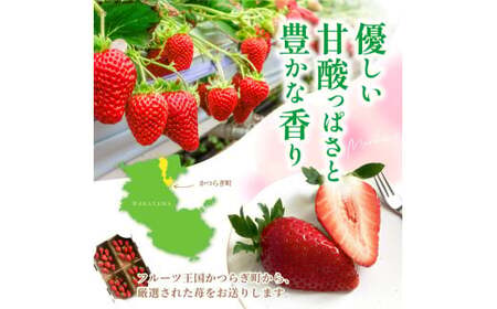 【先行予約】まりひめイチゴ4パック 食べやすいひと口サイズ M～L（15粒～20粒入×4パック）【2027年1月中旬～3月下旬頃に順次発送】（お届け日指定不可）/ いちご 苺 まりひめ 和歌山 フルーツ【kgr034】