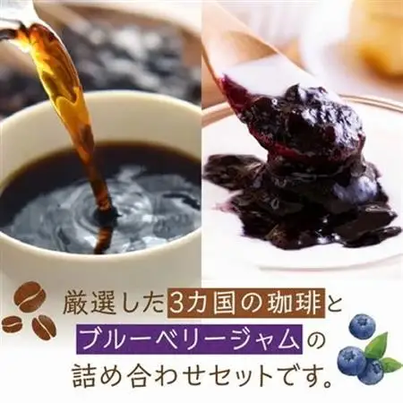 五稜珈琲100g×3ヶ国・ブルーベリージャム250g×2個セット【1186222】
