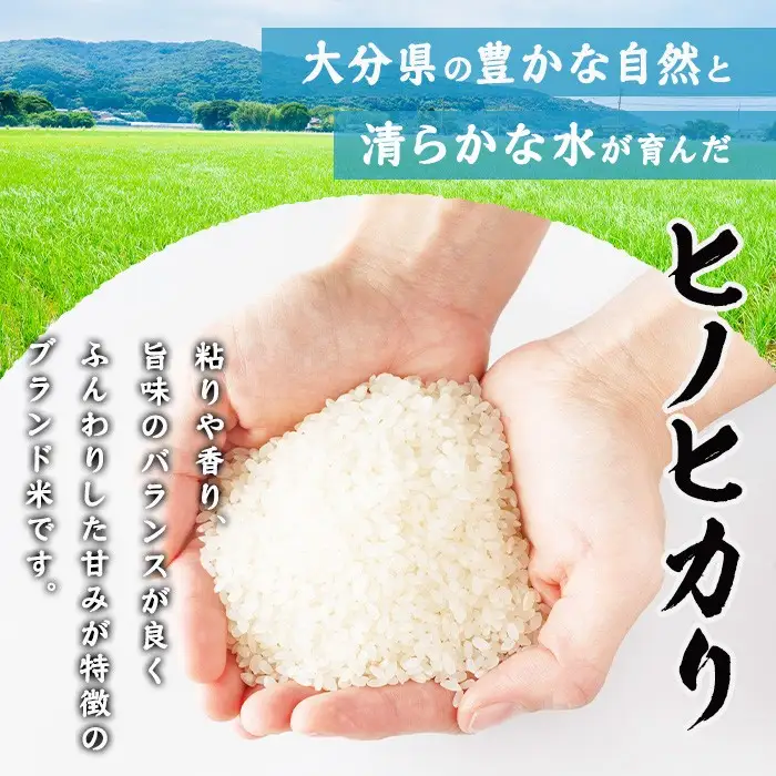 ヒノヒカリ 白米 (計5kg) お米 ごはん ご飯 ひのひかり 数量限定 【117800101】【ジョイライス大分】