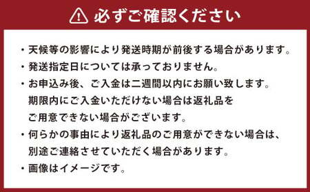 ＜ R8年熊本地震復興支援 ＞熊本県産 小玉スイカ & 肥後グリーンメロン 食べ比べ （計2玉計約3.5kg） 【2027年5月上旬迄発送予定】 小玉すいか 小玉西瓜 スイカ すいか 西瓜 メロン めろん 果物 果実 フルーツ セット 九州 熊本県 熊本市 常温