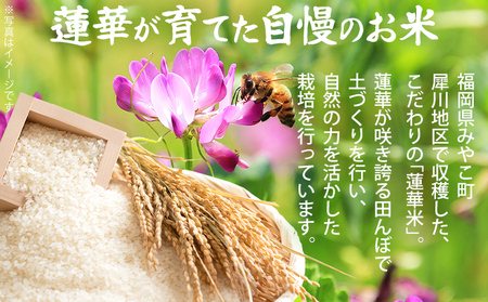 こだわりの蓮華米 米 5kg 蓮華米 れんげ米 農家直送 白米 国産米 国産 おにぎり お弁当 朝ごはん 軽食 間食 おやつ 福岡県 福岡 九州 グルメ お取り寄せ