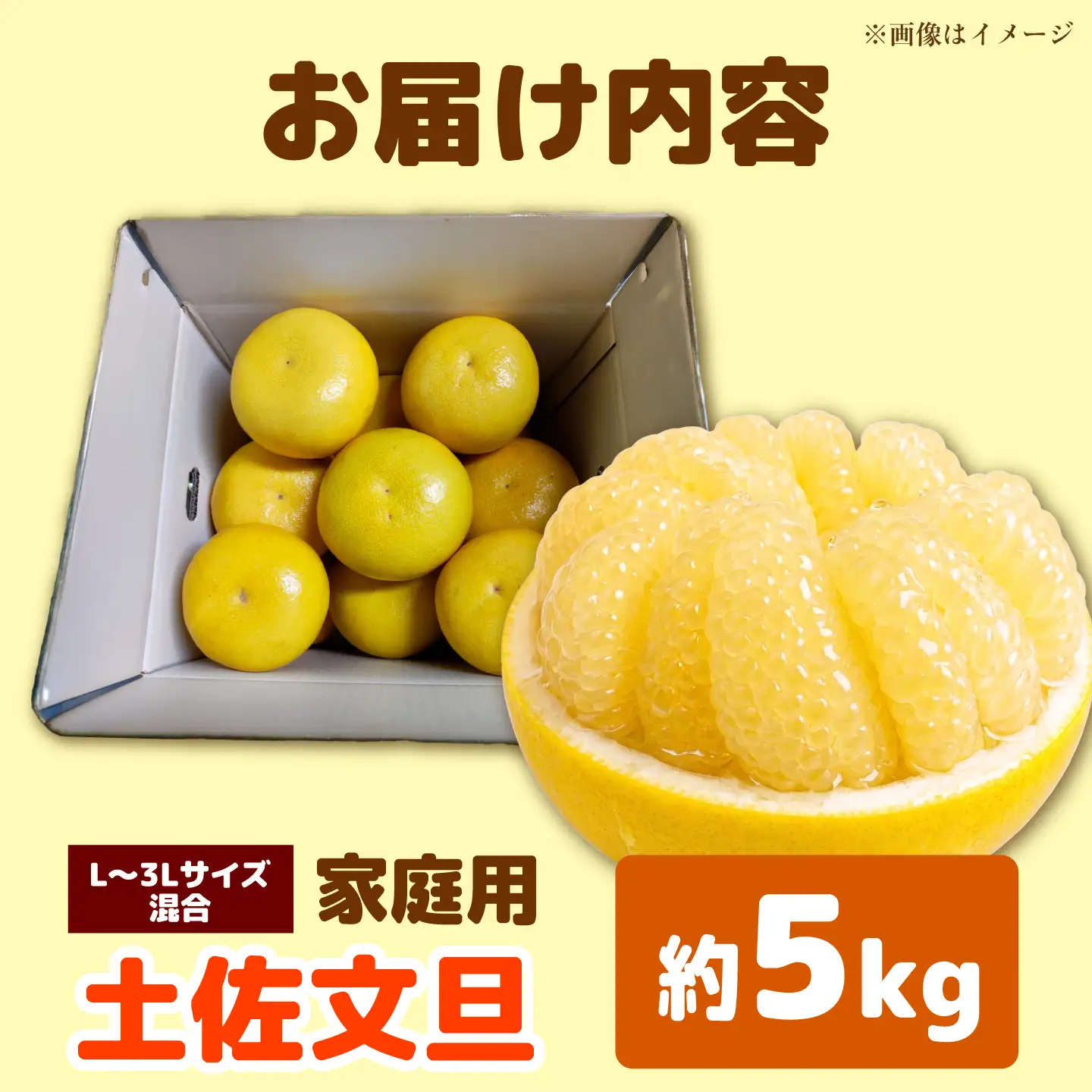 【先行予約】土佐文旦 家庭用 約5kg（L-3Lサイズ混合：8-13玉入り） 先行予約 文旦 ぶんたん ブンタン 柑橘 フルーツ デザート 果物 ご当地 人気 お取り寄せ＜2027年1月下旬から順次発送＞【玉木農園】 [BQAJ008]