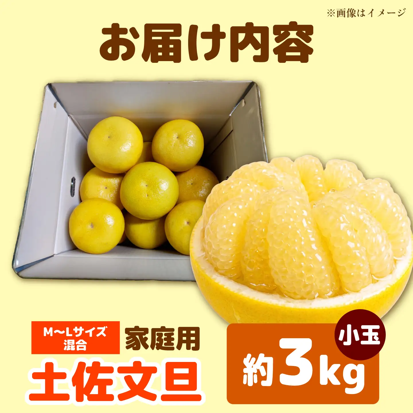 【先行予約】土佐文旦 小玉 家庭用 約3kg （M-L：7-9玉入り） 文旦 ぶんたん ブンタン 柑橘 フルーツ デザート 果物 ご当地 人気 名産＜2027年1月下旬から順次発送＞【玉木農園】 [BQAJ006]