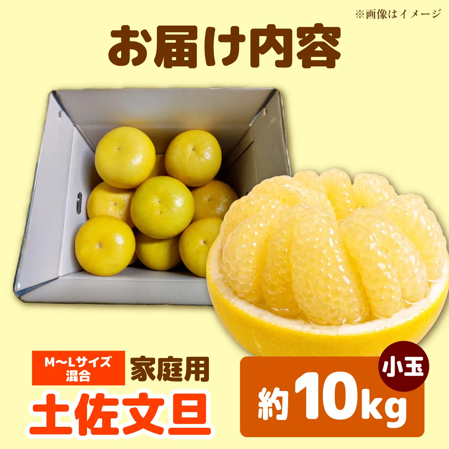 【先行予約】土佐文旦 小玉 家庭用 約10kg （M-Lサイズ：23-29玉入り） 文旦 ぶんたん ブンタン 10キロ 柑橘 フルーツ デザート 果物 ご当地 人気 名産＜2027年1月下旬から順次発送＞【玉木農園】 [BQAJ004]
