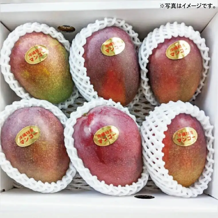 沖縄県豊見城市産アップルマンゴー 約2kg 