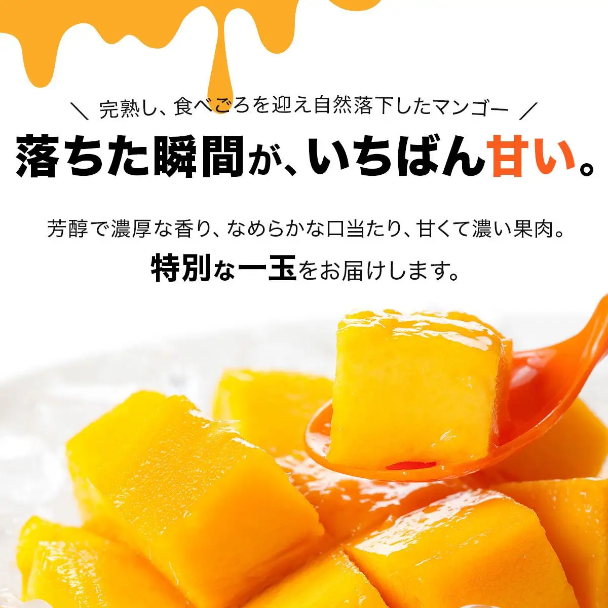 【2027年6月下旬より順次発送】★訳あり★沖縄県豊見城市産アップルマンゴー 約2kg｜マンゴー アップルマンゴー 訳あり わけあり フルーツ くだもの 果物 先行予約 数量限定 おきなわ 沖縄 沖縄フルーツ 豊見城市(DJ002)