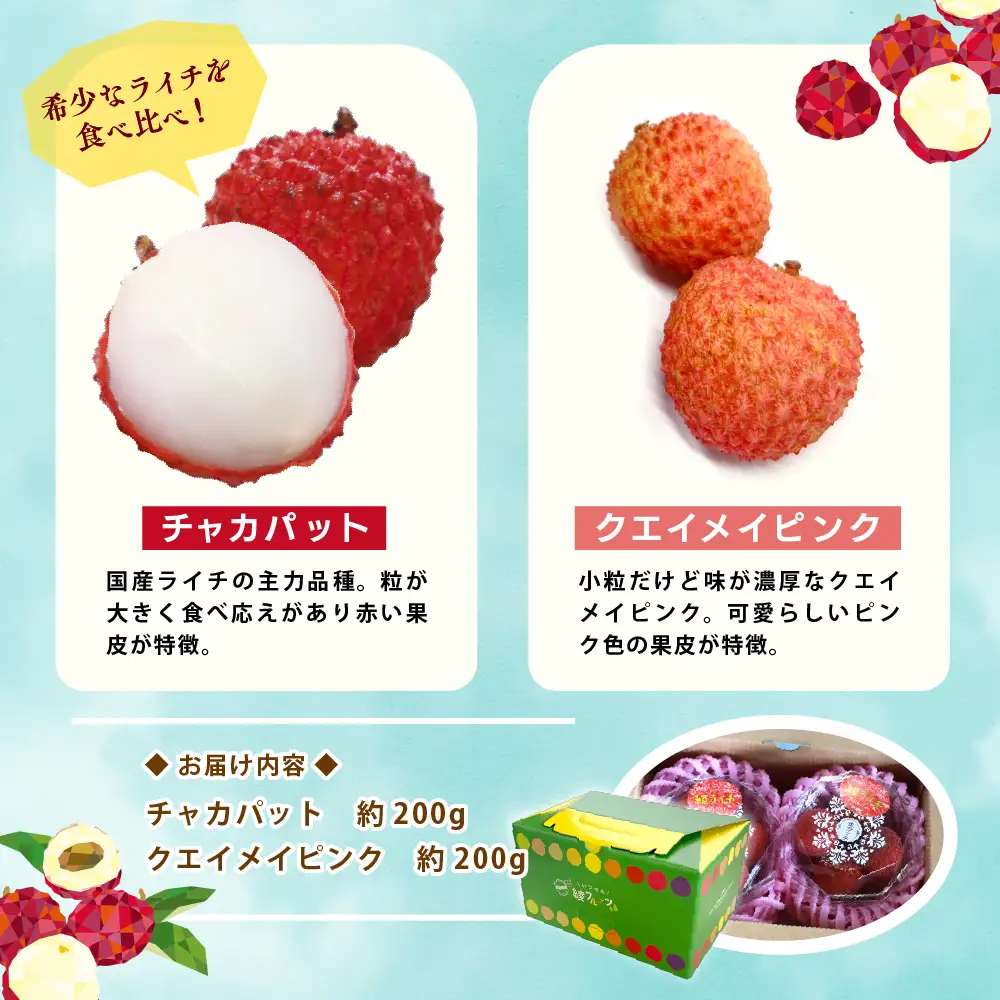先行予約 希少 国産 綾 生ライチ 2種 食べ比べ セット 数量限定 果物 フルーツ くだもの 国産ライチ 2027年 トロピカルフルーツ 南国フルーツ 冷蔵 高級 デザート ギフト 贈り物 プレゼント ご褒美 おすすめ 産地直送 宮崎県 送料無料 【JA綾町】_A0114-2342