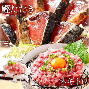 【ふるなびWEEK対象】かつおのたたき 600g ネギトロ 80gx2P 漬け丼 80g×4P 【海鮮セット】FN-Limited-WE