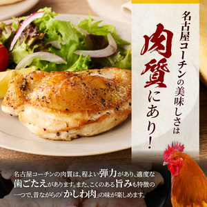 名古屋コーチン むね肉1.2kg大満足セット [001T11]
