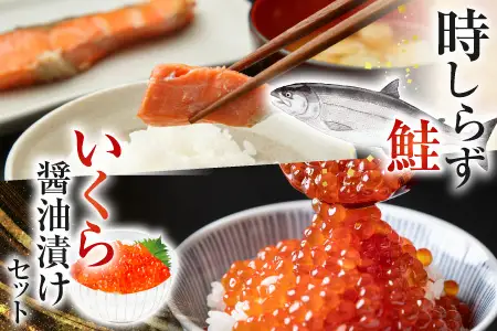 時しらず鮭600g×1P・いくら醤油漬け50g×2P B-42106