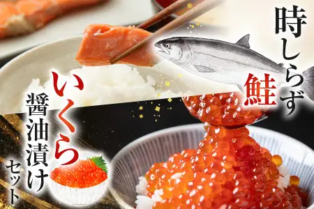 時しらず鮭600g×1P・いくら醤油漬け50g×3P C-42094