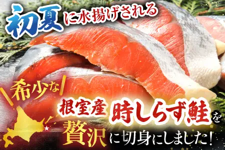 【北海道根室産】時しらず鮭切身1.5kg×1P・1切×2P F-42020