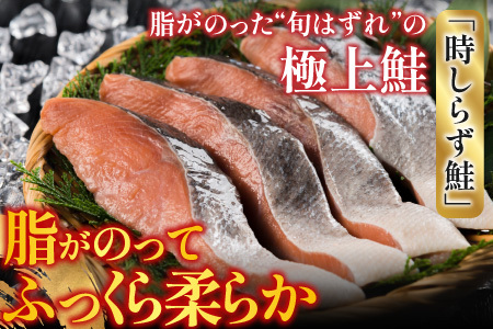 【北海道根室産】時しらず鮭切身1切×4P G-42017