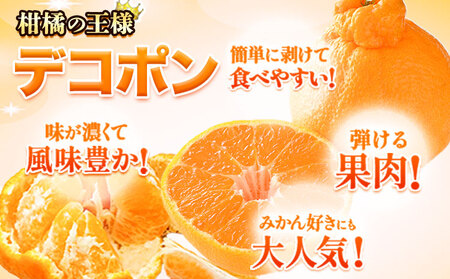 デコポン 訳あり 約2kg デコポン 熊本