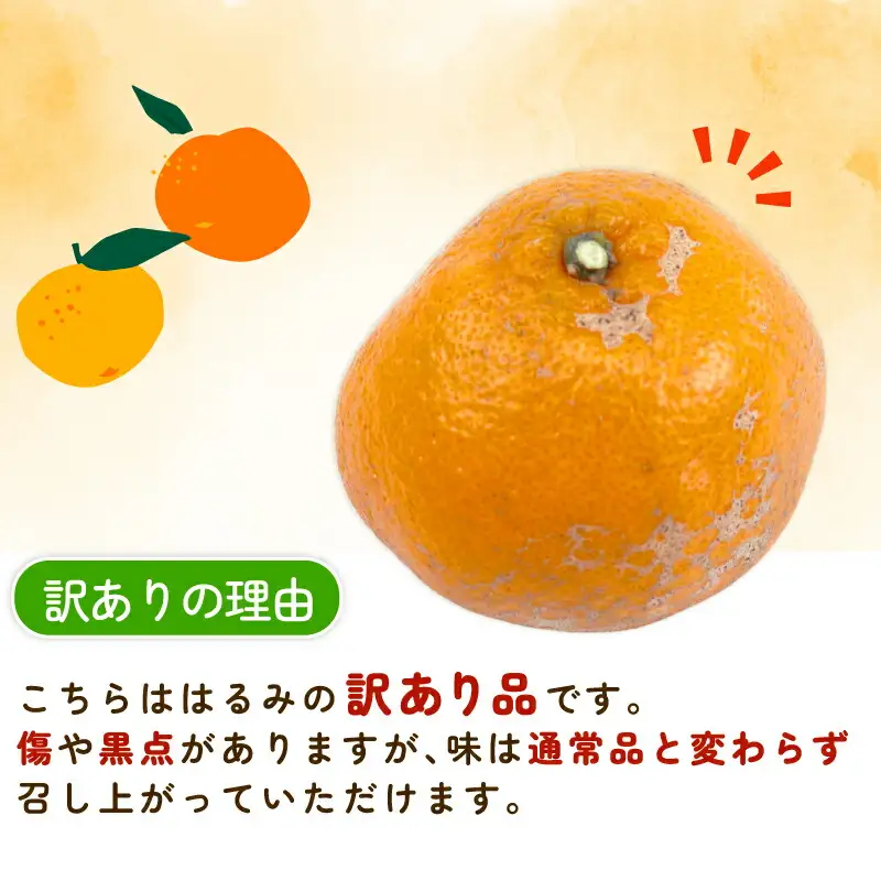 訳あり はるみ 8 ～ 9kg 誉農園 訳あり 宇和島 B010-138012