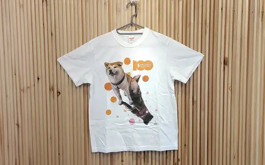 HACHI100オリジナルTシャツイラストver  XXL（HACHI100オリジナルコットン巾着サービス)　35P7605【一般社団法人 秋田犬ツーリズム】