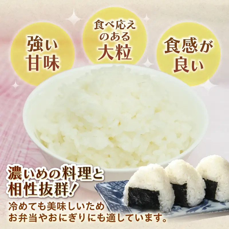 令和7年産 にじのきらめき 10kg お米 白米 精米 