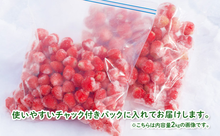 いちご 富良野産 完熟冷凍 いちご【1kg】【冷凍】